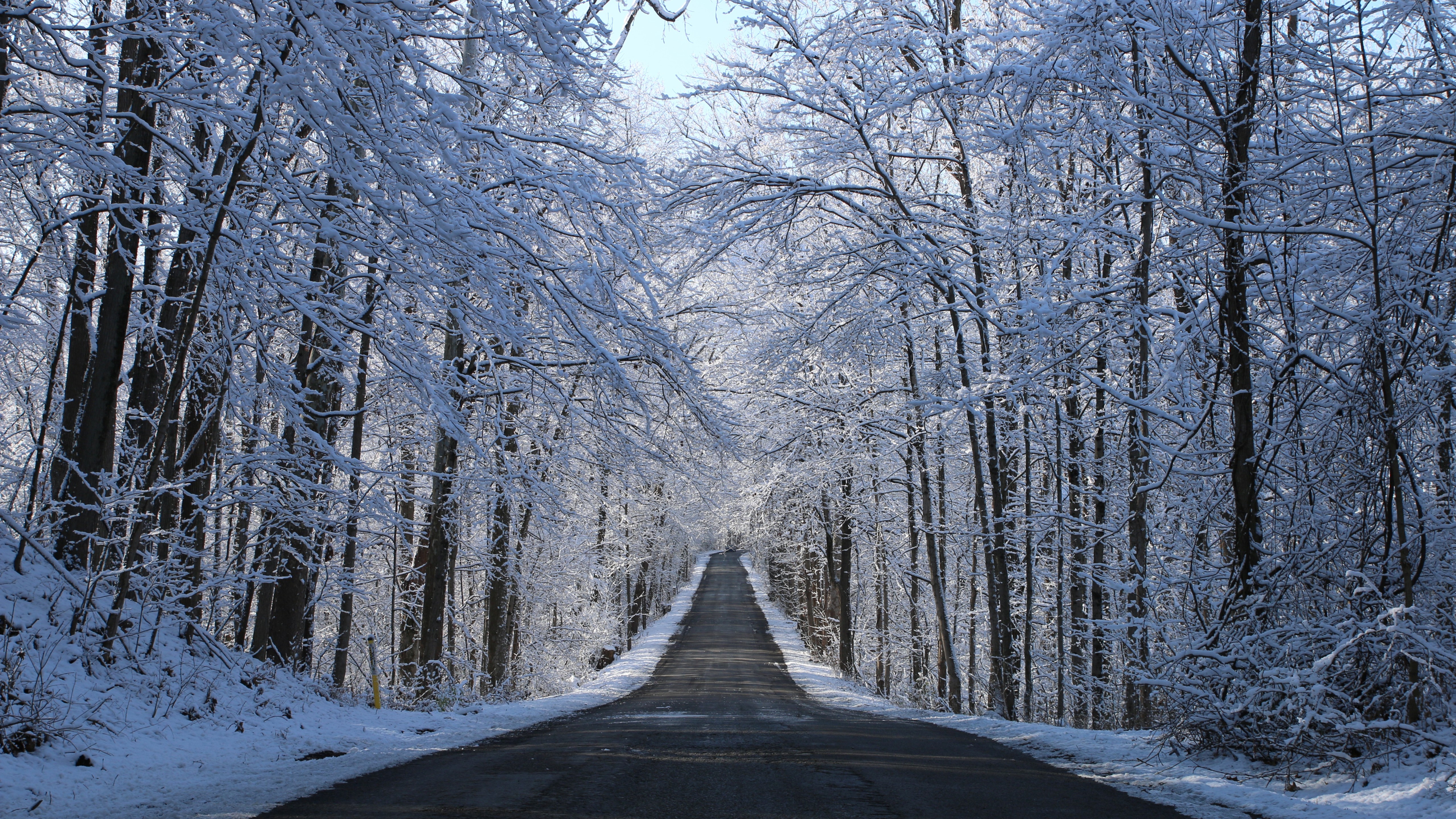 Wallpapers Mix №848 084